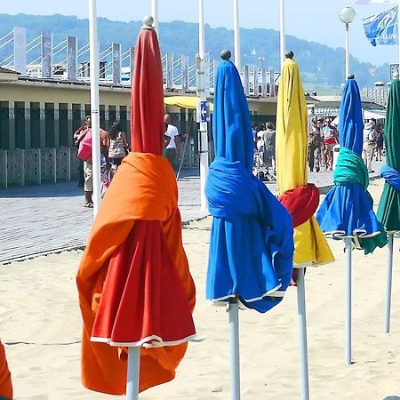 Charmant 3 Pieces Avec Jardin A 5Mn De La Plage Deauville Eksteriør billede